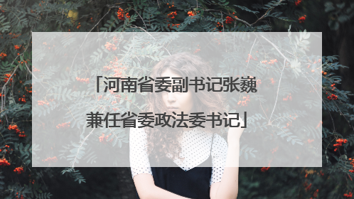 河南省委副书记张巍兼任省委政法委书记