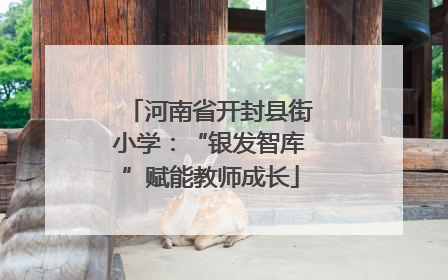 河南省开封县街小学：“银发智库”赋能教师成长
