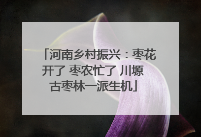 河南乡村振兴：枣花开了 枣农忙了 川塬古枣林一派生机