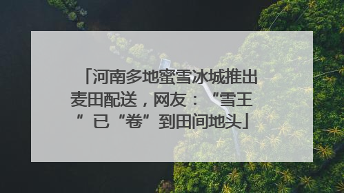 河南多地蜜雪冰城推出麦田配送，网友：“雪王”已“卷”到田间地头