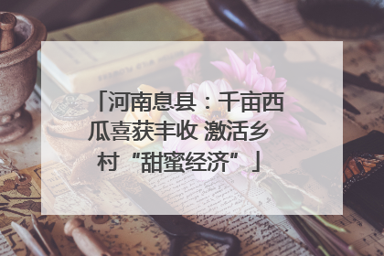 河南息县：千亩西瓜喜获丰收 激活乡村“甜蜜经济”