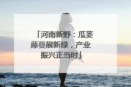 河南新野：瓜蒌藤蔓展新绿，产业振兴正当时