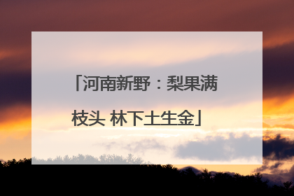 河南新野：梨果满枝头 林下土生金