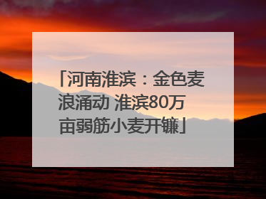 河南淮滨：金色麦浪涌动 淮滨80万亩弱筋小麦开镰