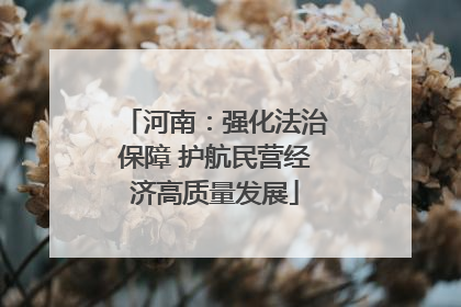 河南：强化法治保障 护航民营经济高质量发展