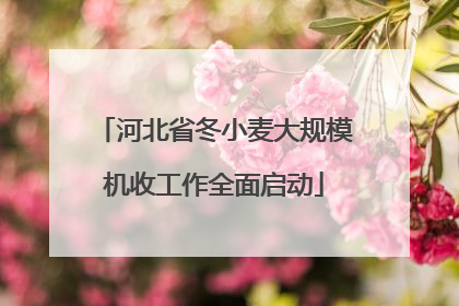 河北省冬小麦大规模机收工作全面启动