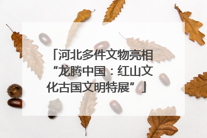 河北多件文物亮相“龙腾中国：红山文化古国文明特展”