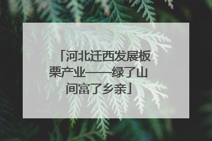 河北迁西发展板栗产业——绿了山间富了乡亲