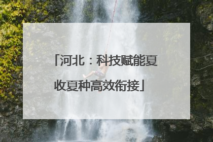 河北：科技赋能夏收夏种高效衔接
