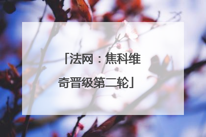 法网：焦科维奇晋级第二轮