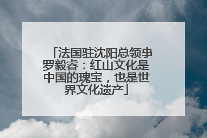法国驻沈阳总领事罗毅睿：红山文化是中国的瑰宝，也是世界文化遗产