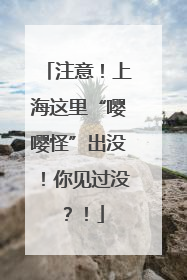 注意！上海这里“嘤嘤怪”出没！你见过没？！