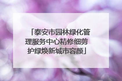 泰安市园林绿化管理服务中心精修细剪护绿焕新城市容颜
