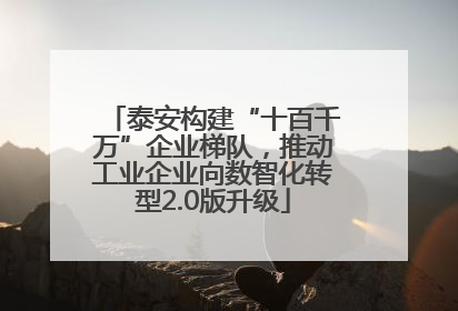 泰安构建“十百千万”企业梯队，推动工业企业向数智化转型2.0版升级
