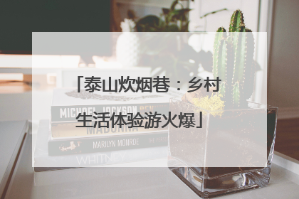 泰山炊烟巷：乡村生活体验游火爆