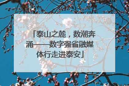 泰山之麓，数潮奔涌——数字强省融媒体行走进泰安