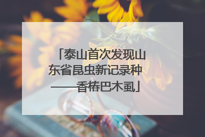 泰山首次发现山东省昆虫新记录种——香椿巴木虱