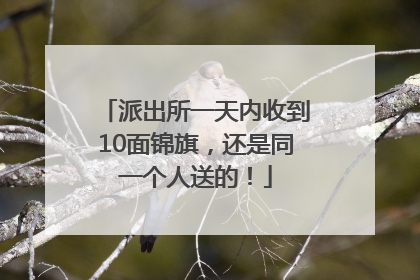 派出所一天内收到10面锦旗，还是同一个人送的！