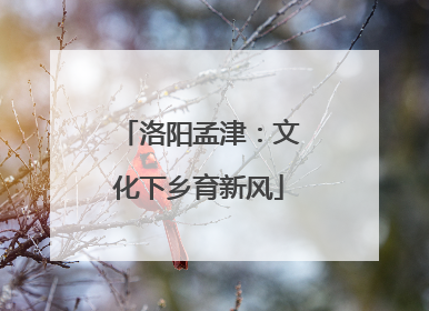 洛阳孟津：文化下乡育新风