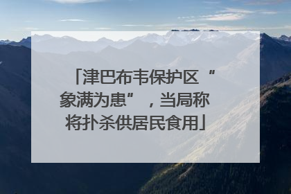 津巴布韦保护区“象满为患”，当局称将扑杀供居民食用
