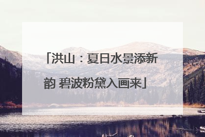 洪山：夏日水景添新韵 碧波粉黛入画来