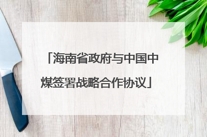 海南省政府与中国中煤签署战略合作协议