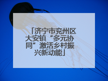 济宁市兖州区大安镇“多元协同”激活乡村振兴新动能