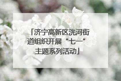 济宁高新区洸河街道组织开展“七一” 主题系列活动