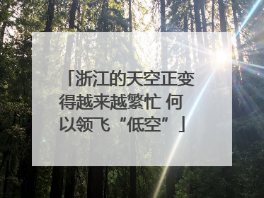 浙江的天空正变得越来越繁忙 何以领飞“低空”