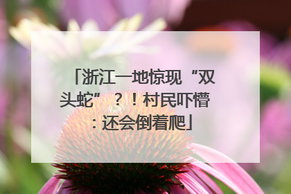 浙江一地惊现“双头蛇”？！村民吓懵：还会倒着爬