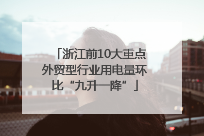 浙江前10大重点外贸型行业用电量环比“九升一降”