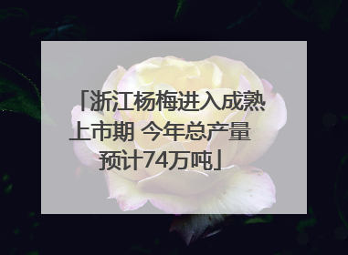 浙江杨梅进入成熟上市期 今年总产量预计74万吨