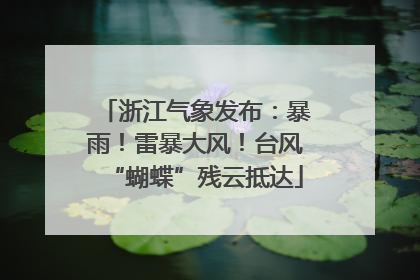 浙江气象发布：暴雨！雷暴大风！台风“蝴蝶”残云抵达