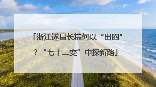浙江遂昌长粽何以“出圈”？“七十二变”中探新路