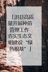 淇县高质量开展种苗管理工作 夯实生态文明建设“绿色根基”