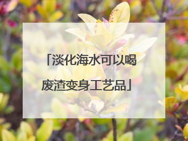 淡化海水可以喝 废渣变身工艺品