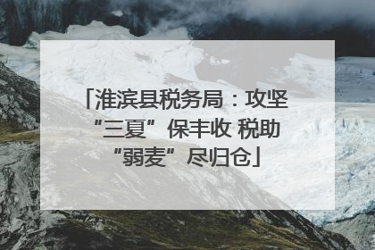 淮滨县税务局：攻坚“三夏”保丰收 税助“弱麦”尽归仓