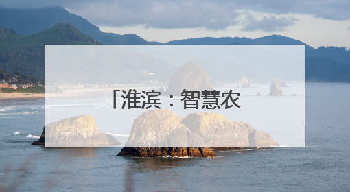 淮滨：智慧农业平台跑出麦收“加速度”