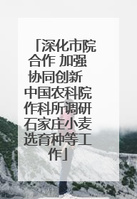 深化市院合作 加强协同创新 中国农科院作科所调研石家庄小麦选育种等工作
