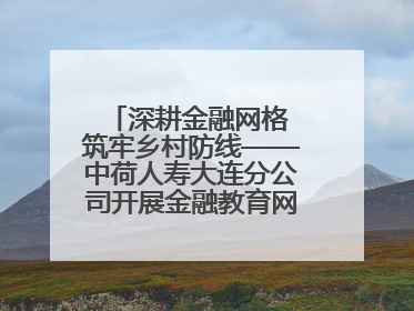 深耕金融网格 筑牢乡村防线——中荷人寿大连分公司开展金融教育网格化宣传活动