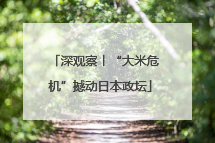 深观察丨“大米危机”撼动日本政坛