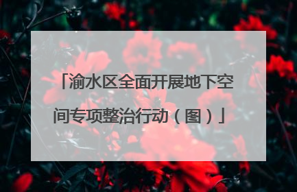 渝水区全面开展地下空间专项整治行动（图）