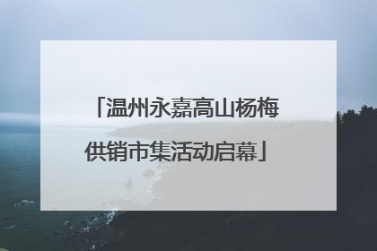 温州永嘉高山杨梅供销市集活动启幕