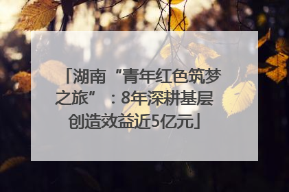湖南“青年红色筑梦之旅”：8年深耕基层创造效益近5亿元