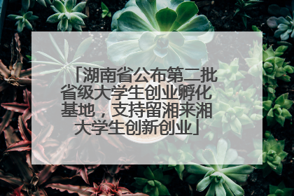 湖南省公布第二批省级大学生创业孵化基地，支持留湘来湘大学生创新创业