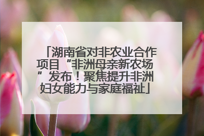 湖南省对非农业合作项目“非洲母亲新农场”发布！聚焦提升非洲妇女能力与家庭福祉