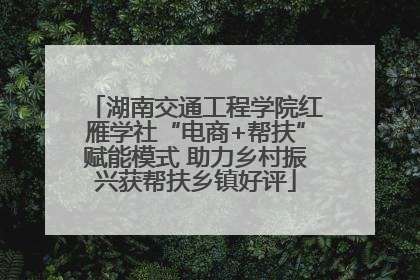 湖南交通工程学院红雁学社“电商+帮扶”赋能模式 助力乡村振兴获帮扶乡镇好评