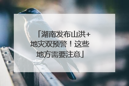湖南发布山洪+地灾双预警！这些地方需要注意