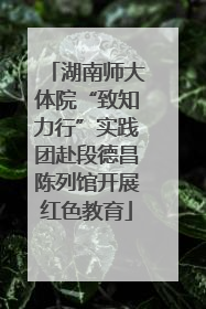湖南师大体院“致知力行”实践团赴段德昌陈列馆开展红色教育