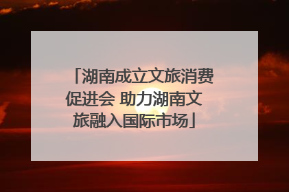 湖南成立文旅消费促进会 助力湖南文旅融入国际市场